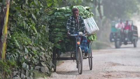View of a man transporting vegetables on a rickshaw van, Bangladesh. Stock Footage 335017875