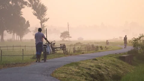 View of a man walking with a bicycle on a misty road, Bangladesh. Видео 335591799
