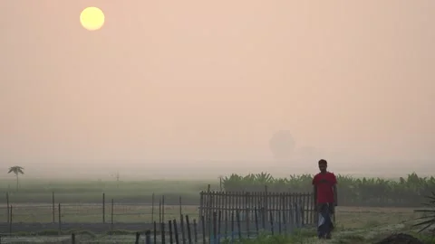 View of a man walking in a field at sunrise in Bogura, Bangladesh. Vídeo Stock 335591999