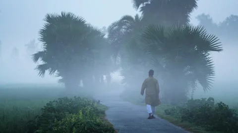 View of a man walking on a misty road in Bogura, Bangladesh. Video stock 335599681