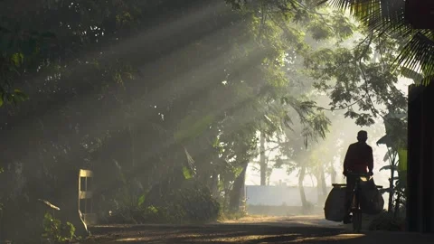 View of a man walking on a misty rural road with sunbeams, Bangladesh. Stock-Footage 335551858
