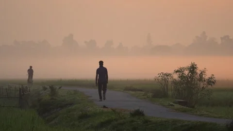 View of a man walking on a rural path through misty fields, Bangladesh. Видео 335588212
