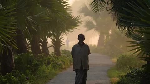 View of a man walking on a rural path lined with palm trees, Bangladesh. 動画素材 335599610