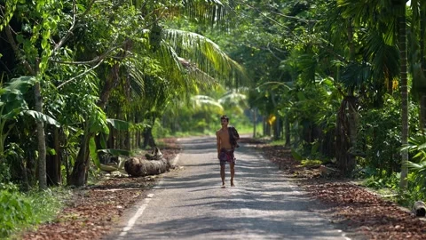 View of a man walking on a rural road with tropical trees, Bangladesh. Video stock 334946035