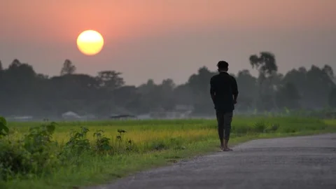 View of a man walking on a rural road at sunset in Bangladesh. Stock Footage 335552756