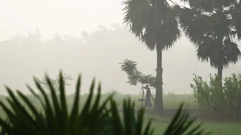 View of a man walking through misty fields in Bogura, Bangladesh. Stock Footage 335550194