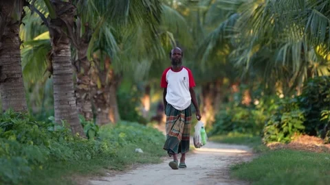 View of a man walking through a palm grove in Bogura, Bangladesh. Video stock 334953123