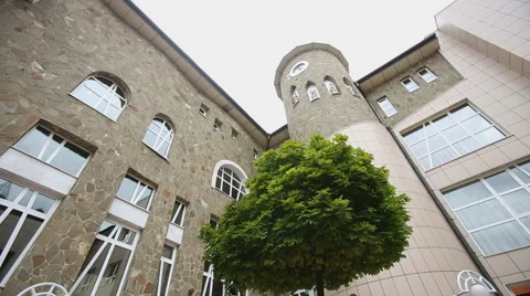 View of the Mansion Stock Footage 41495518