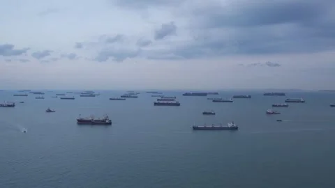 View of many logistic transport freight container ships in the sea. Stock Footage 272607201
