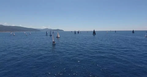 View of many sailboat Stock Footage 137644337