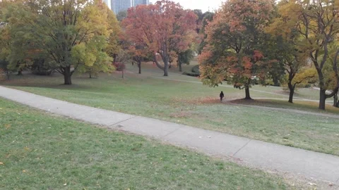 View of the maple leaf garden in Canada Stock Footage 146617554