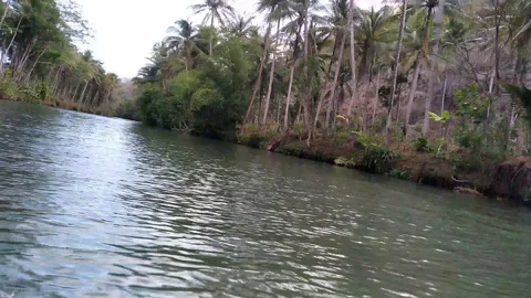 View of maron river at East Java 動画素材 121432759
