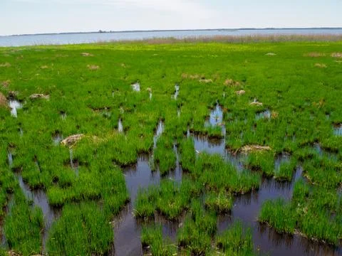View of Marsh Lands 스톡 사진