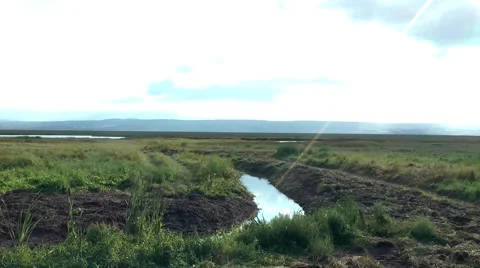 View of marshland over cast Stock Footage 41268768