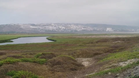 View of marshy land inside the Tijuana Slough National Wildlife Refuge, CA Stock Footage 114024731