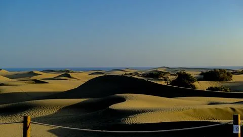 View of the Maspalomas dunes Stock-Fotos