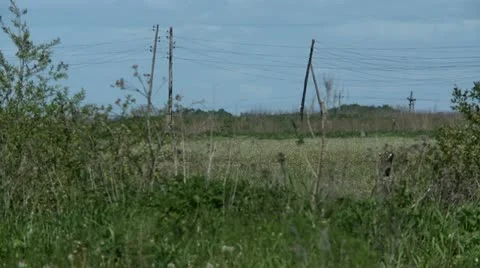 View of meadow Видео 11430714