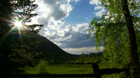 View of meadow Stock Footage 57814305