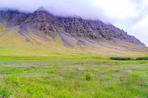 View of meadow at the high mountain Stock-Fotos