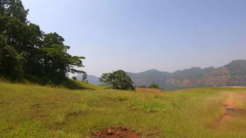 View of a meadow in the middle of the forests Video stock 96598449
