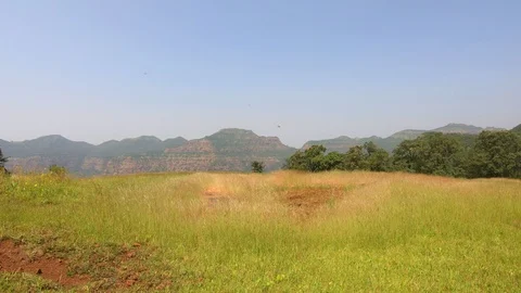 View of a meadow in the middle of the forests Video stock 96598624