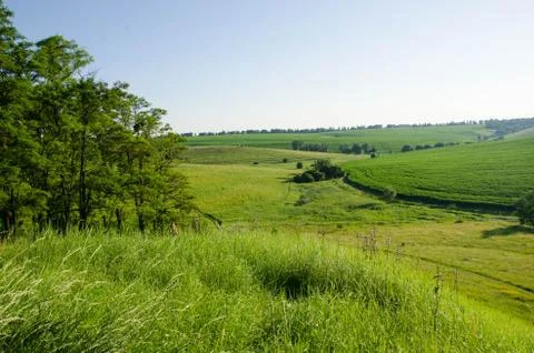 View of the meadow from the mountain Stock Photos