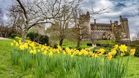 View of medieval Arundel castle, England Stock Footage 85456952