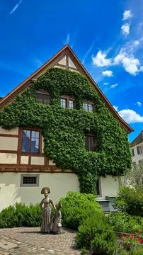 View of a medieval half-timbered house, covered with ivy against the background Stock Photos
