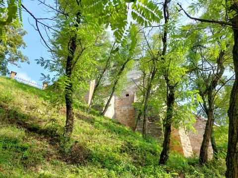 View of the medieval Tatar Tower through green trees in Ostroh, Ukraine Stock Photos