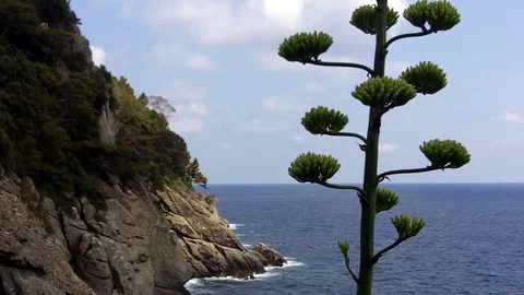 View of Mediterranean Stock Footage 71818211