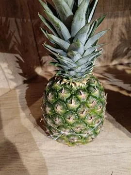 View of medium sized pineapple fruit Stock Photos