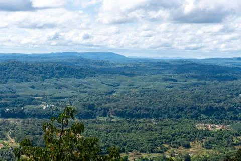View on the Mekong and on the forests surrounding separating Laos and Thail.. Stock Photos