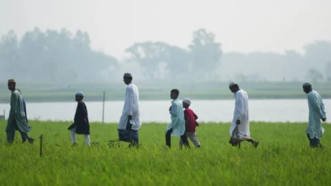 View of men and boys walking through a green field, Bangladesh. Stock Footage 334991174