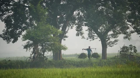 View of men commuting through rural fields in Bogura, Bangladesh. Vídeos de archivo 335589300