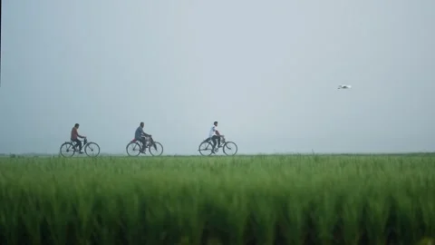 View of men riding bicycles through green fields in Bogura, Bangladesh. 스톡 동영상 334959900