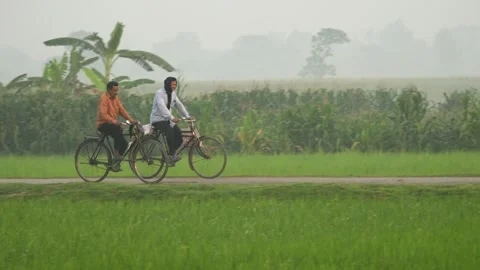 View of men riding bicycles through green paddy fields, Bangladesh. Video stock 335551718
