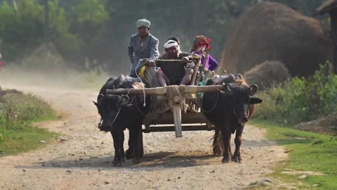 View of men riding a buffalo-drawn cart in Nepal. 스톡 동영상 335477328