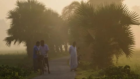 View of men on a rural road with palm trees in Bogura, Bangladesh. Stockbeeldmateriaal 335599654