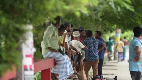 View of men sitting under trees in Dhaka, Bangladesh. Video stock 335555682