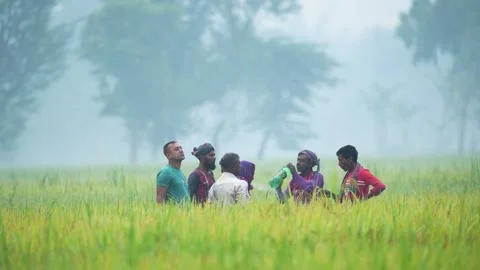 View of men standing in a green field in Bogura, Bangladesh. Vídeo Stock 334984954