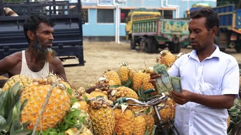 View of men trading money for pineapples at a market, Bangladesh. Stock Footage 336428897