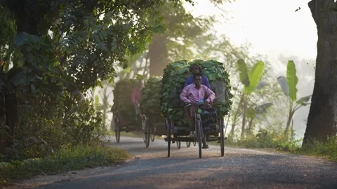 View of men transporting vegetables on a rural road, Bangladesh. Stock Footage 335018050
