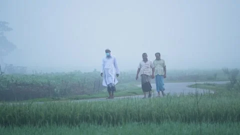 View of men walking on a rural path through foggy fields, Bangladesh. Video stock 335547703