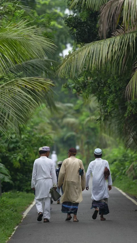 View of men walking on a rural road lined with palm trees, Bangladesh. Stock Footage 334991107