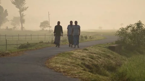 View of men walking on a rural road in a misty landscape, Bangladesh. Stock-Footage 335593275