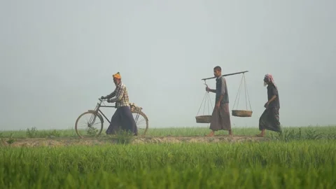 View of men walking through a misty field in Bogura, Bangladesh. 스톡 동영상 335551596