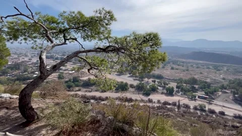 A view of Mendoza Stock Footage 248237639