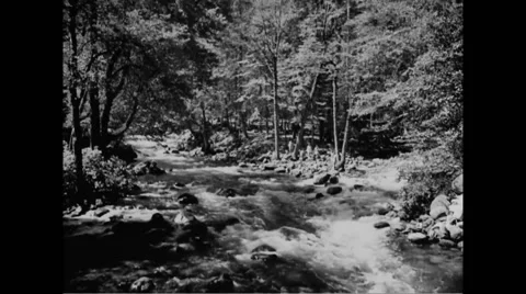 View of the Merced River in Yosemite Valley at Yosemite National Park Stock Footage 44575774