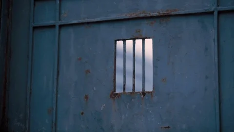 View of a metal grid window Vidéo 111230312