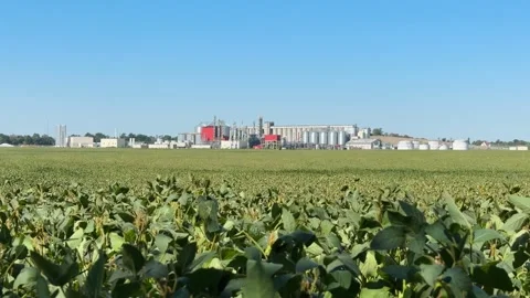 View of methanol and ethanol factory plant in corn field. Bioagra Goswinowi.. Stockbeeldmateriaal 342486168